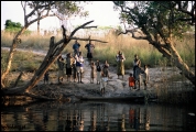 222---Zambezi-River.jpg