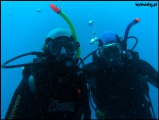 2010-11,12-Australia-2---GBR-diving-009.jpg