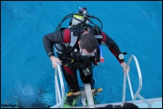 2010-11,12-Australia-2---GBR-diving-024.jpg