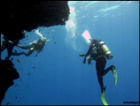 2010-11,12-Australia-2---GBR-diving-139.jpg
