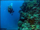 2010-11,12-Australia-2---GBR-diving-140.jpg