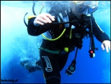 2010-11,12-Australia-2---GBR-diving-156.jpg