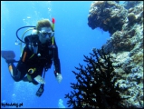 2010-11,12-Australia-2---GBR-diving-157.jpg