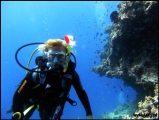 2010-11,12-Australia-2---GBR-diving-159.jpg