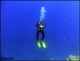 2010-11,12-Australia-2---GBR-diving-168.jpg