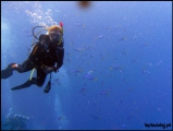 2010-11,12-Australia-2---GBR-diving-170.jpg