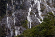 2011-10,11_NZ_258.jpg