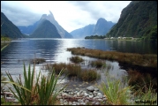 2011-10,11_NZ_274.jpg