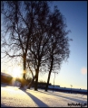 2009_Lapland_069.jpg